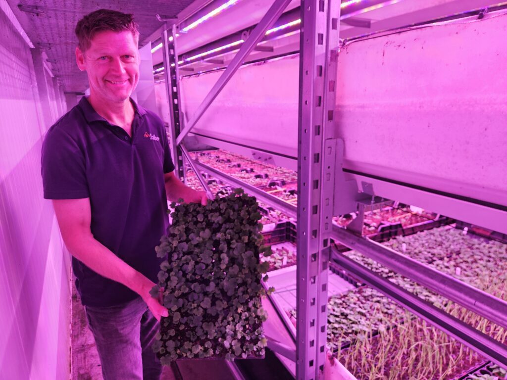 Iribov weefselkweekplanten