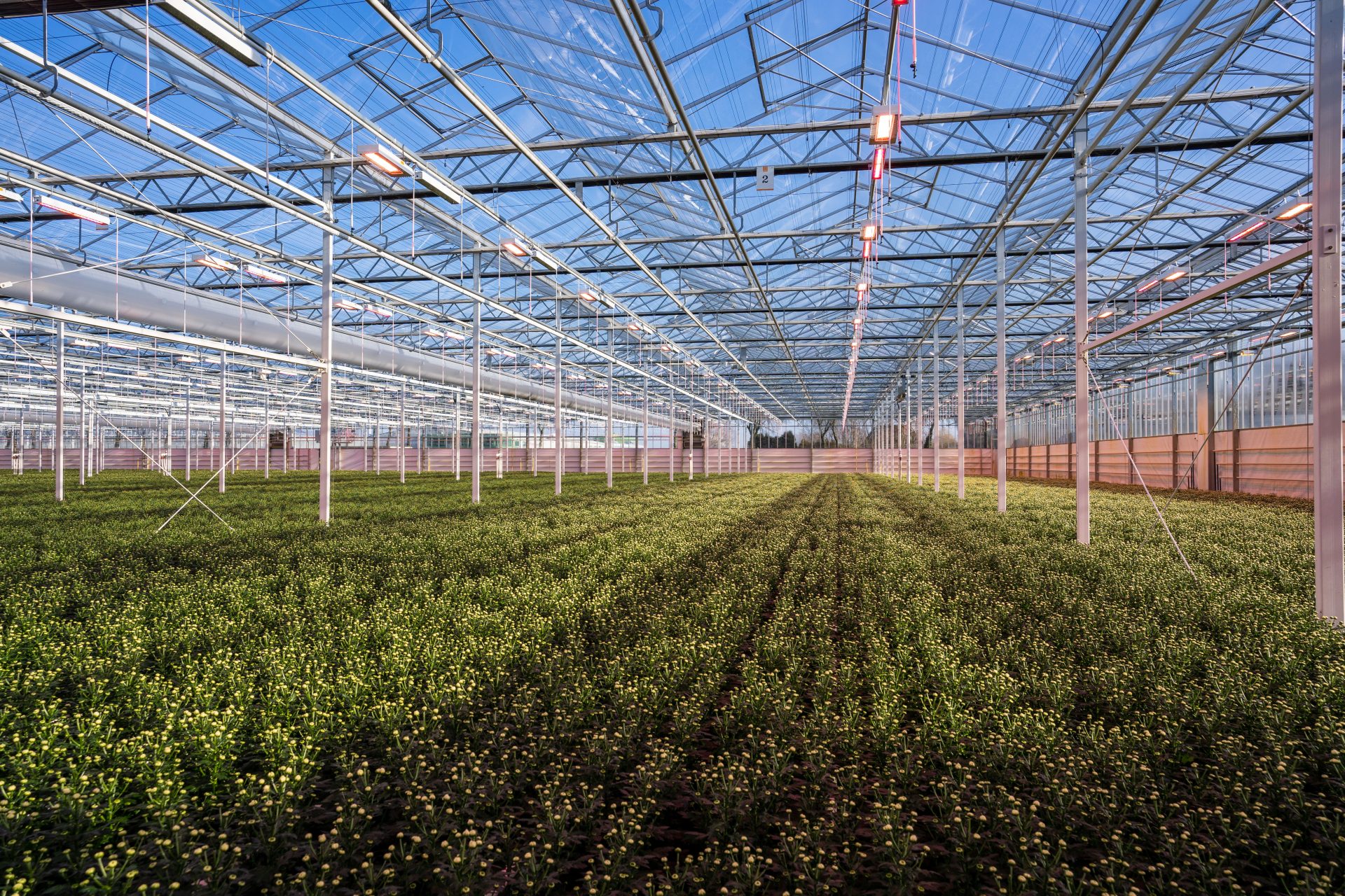 Green Simplicity en GreenV