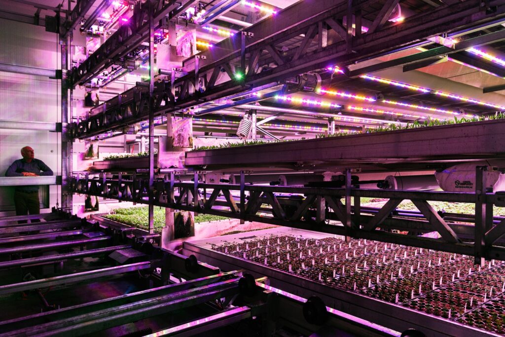 Vertical farm for cultivating tissue culture plants