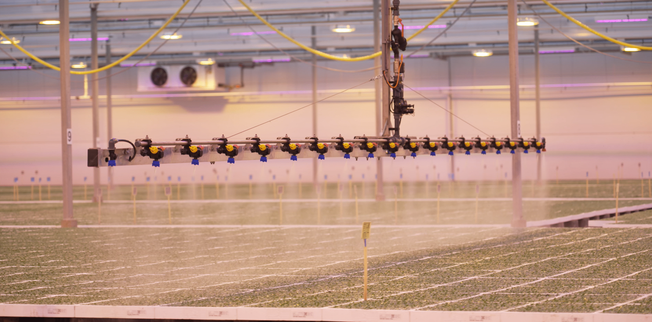 Irrigation