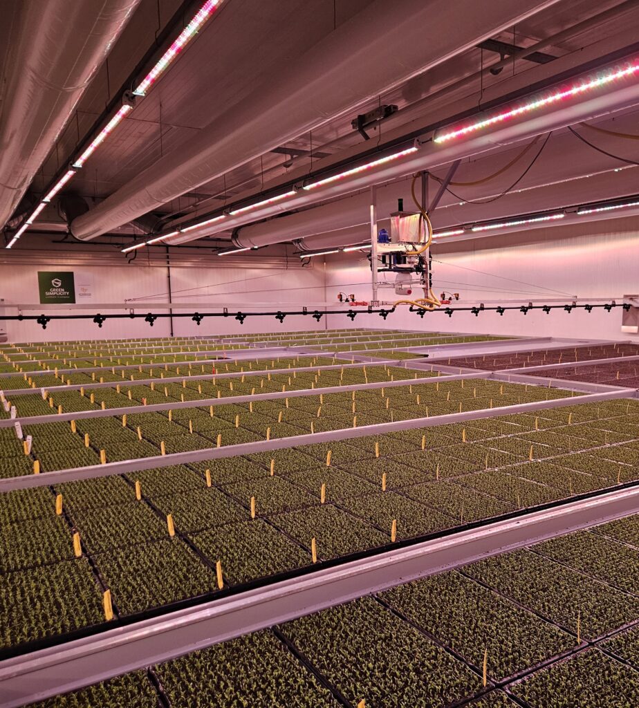 Advanced climate chambers for optimal seed cultivation at BEJO Seeds