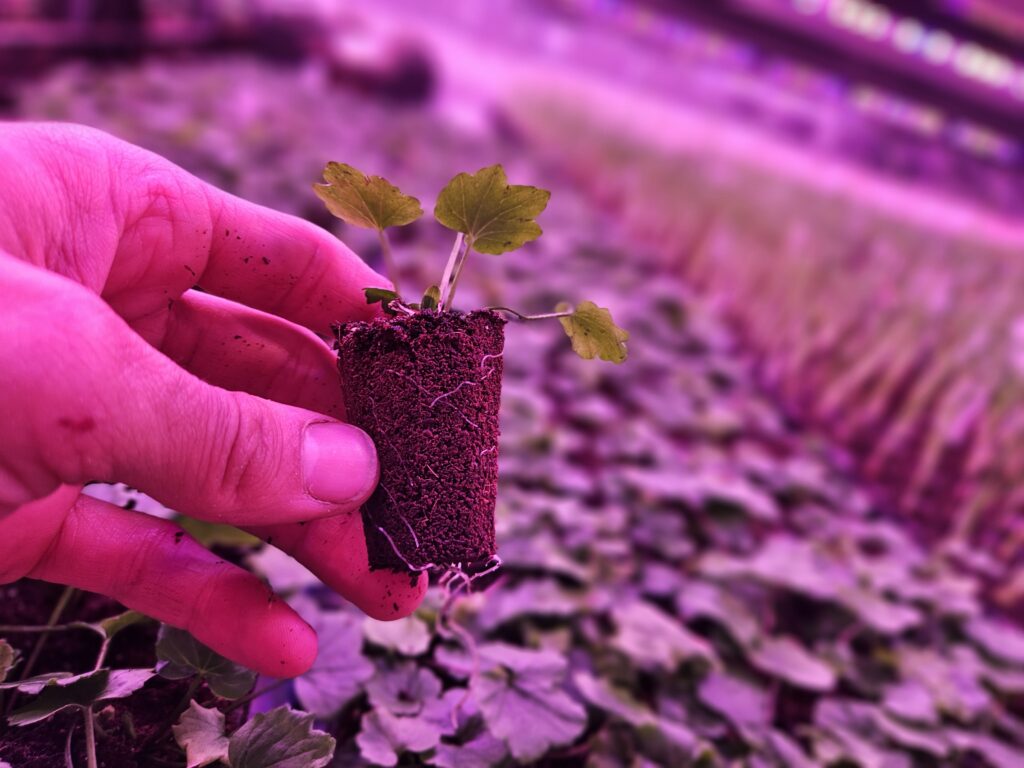 Propagation solutions